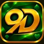 9D Game