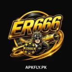 ER6666 Game