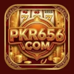 PKR656